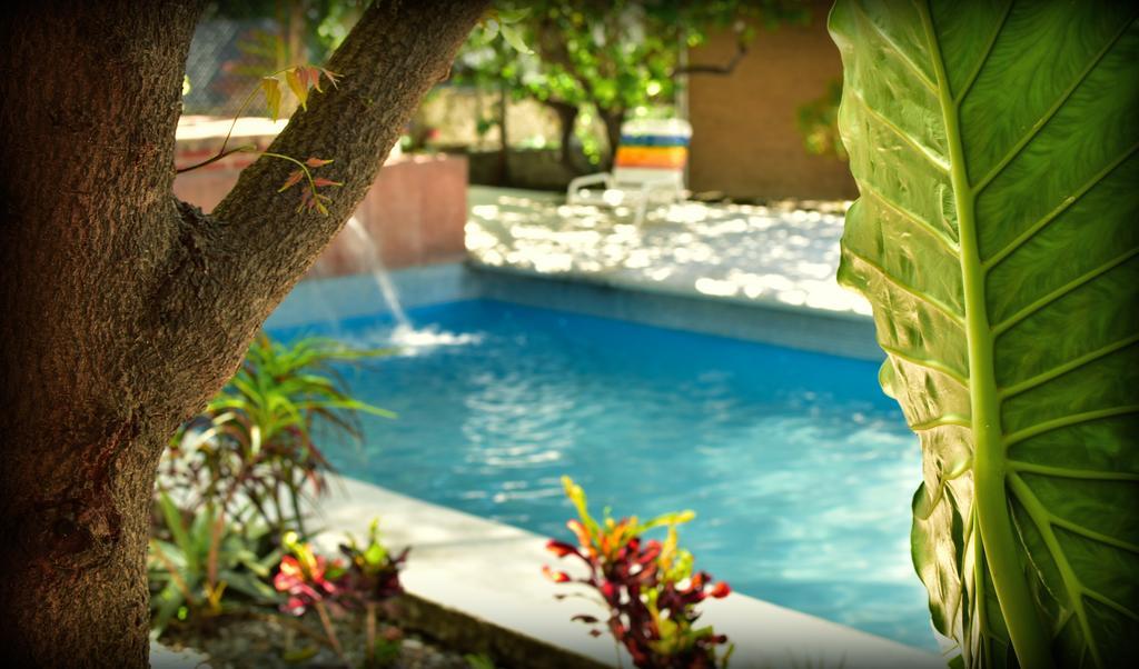 Suites La Flor Sagrada Xochitepec Exterior foto