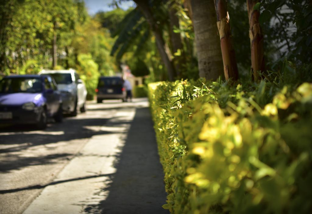 Suites La Flor Sagrada Xochitepec Exterior foto